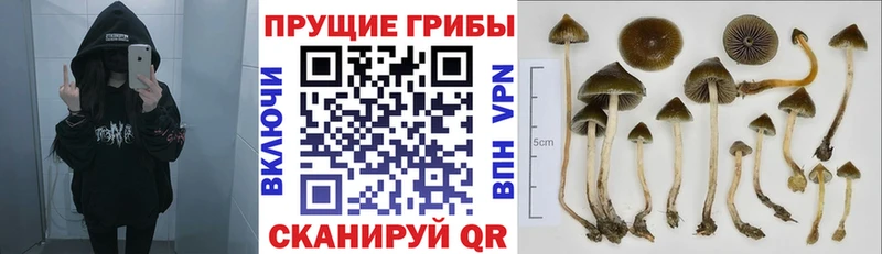 Псилоцибиновые грибы прущие грибы  OMG зеркало  Лысково 